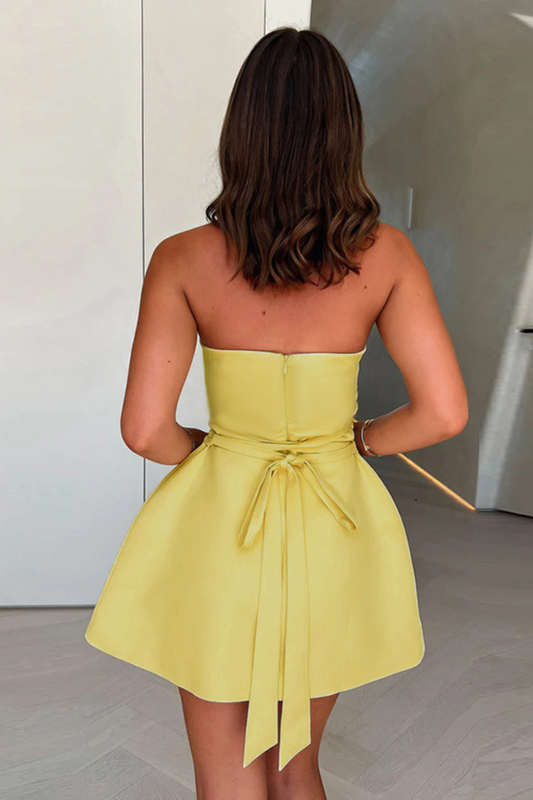 A-Line Back Tie Dress