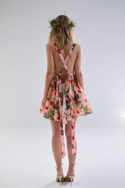 Strawberry Backless Tie Dress