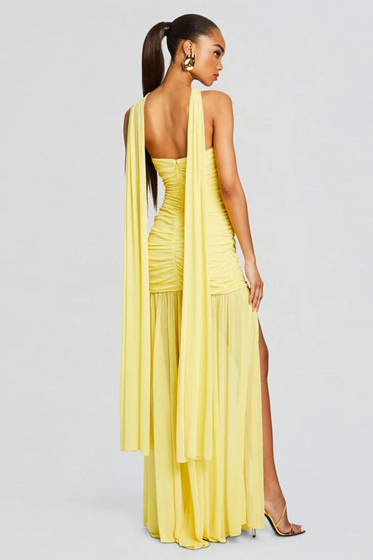 Mesh Long Ruched Dress